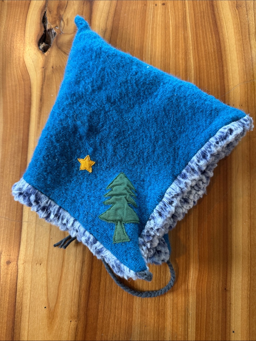 Kids Blue Fleece Earflap Hat with Tree & Star Appliqué